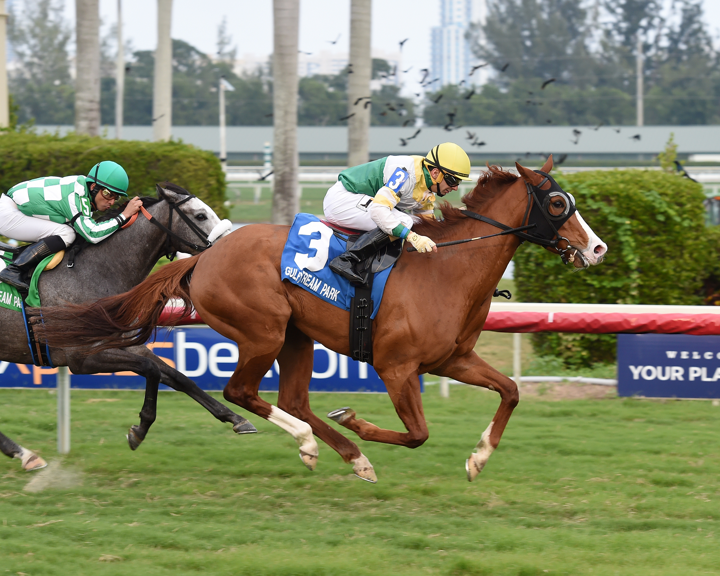 Ghostly Presence wins the 2nd Division of the 2017 Tropical Park Oaks