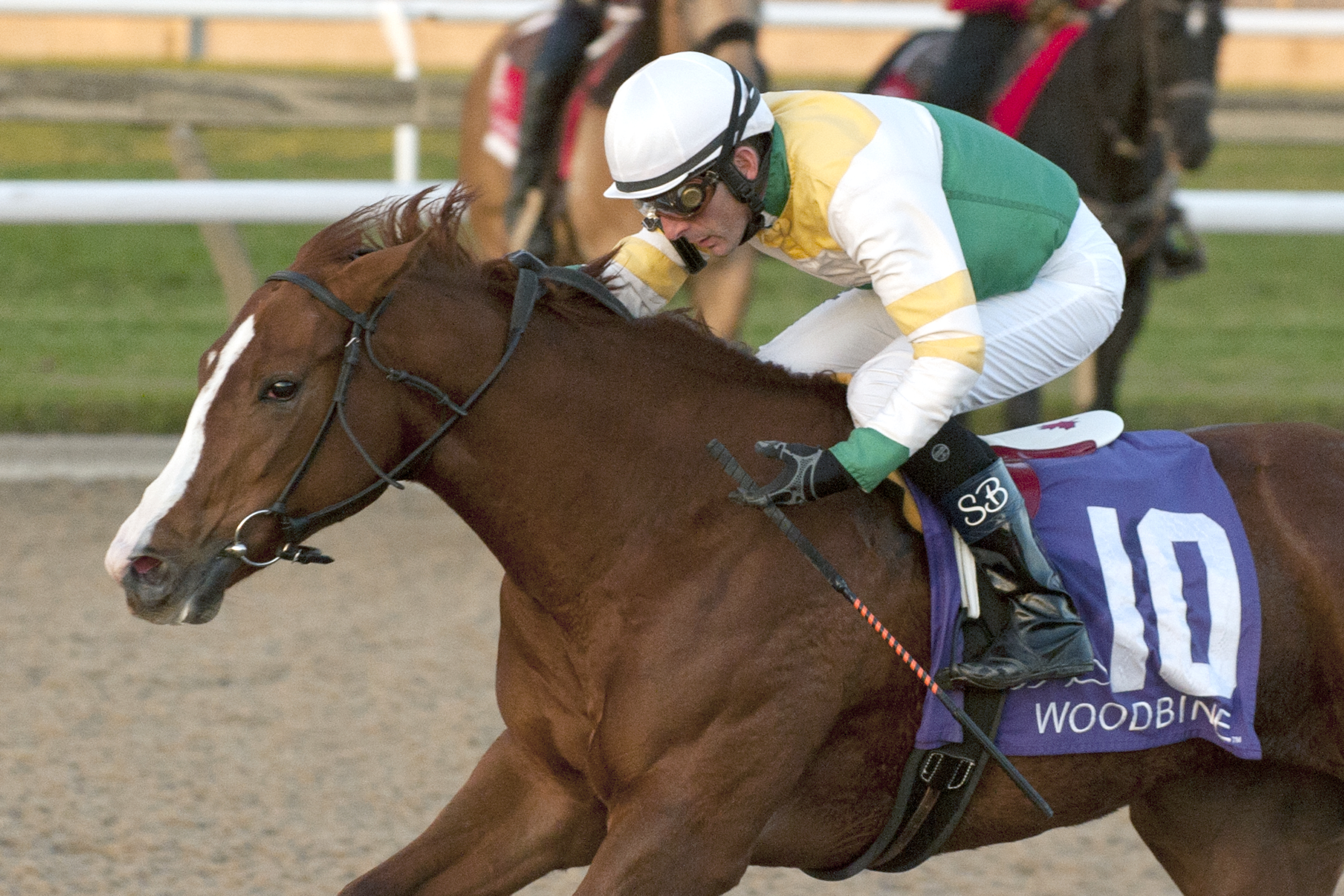 Ghostly Presence wins the 2016 Princess Elizabeth Stakes