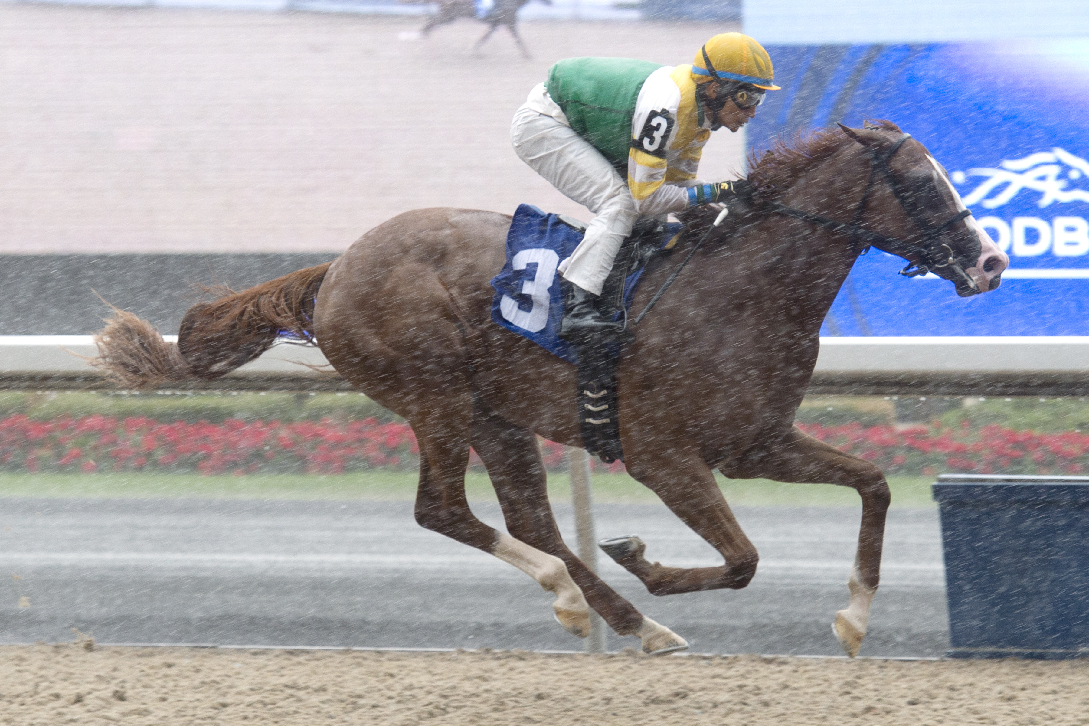 Ghostly Presence wins a maiden race