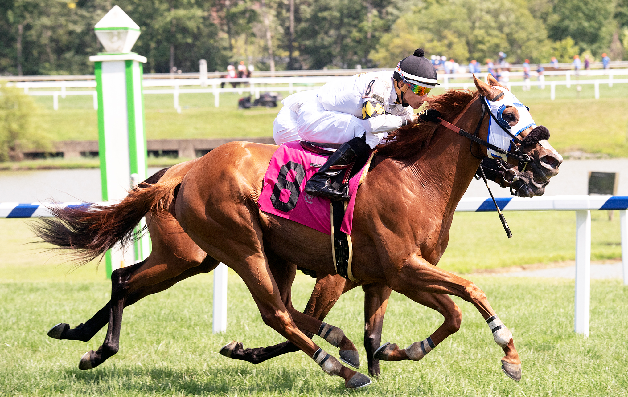 Ghoul's Night Out wins the 2019 Jameela Stakes