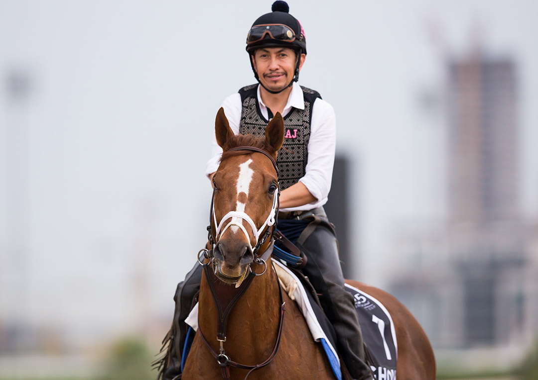 Ghoul at Meydan Racecourse in March 2020