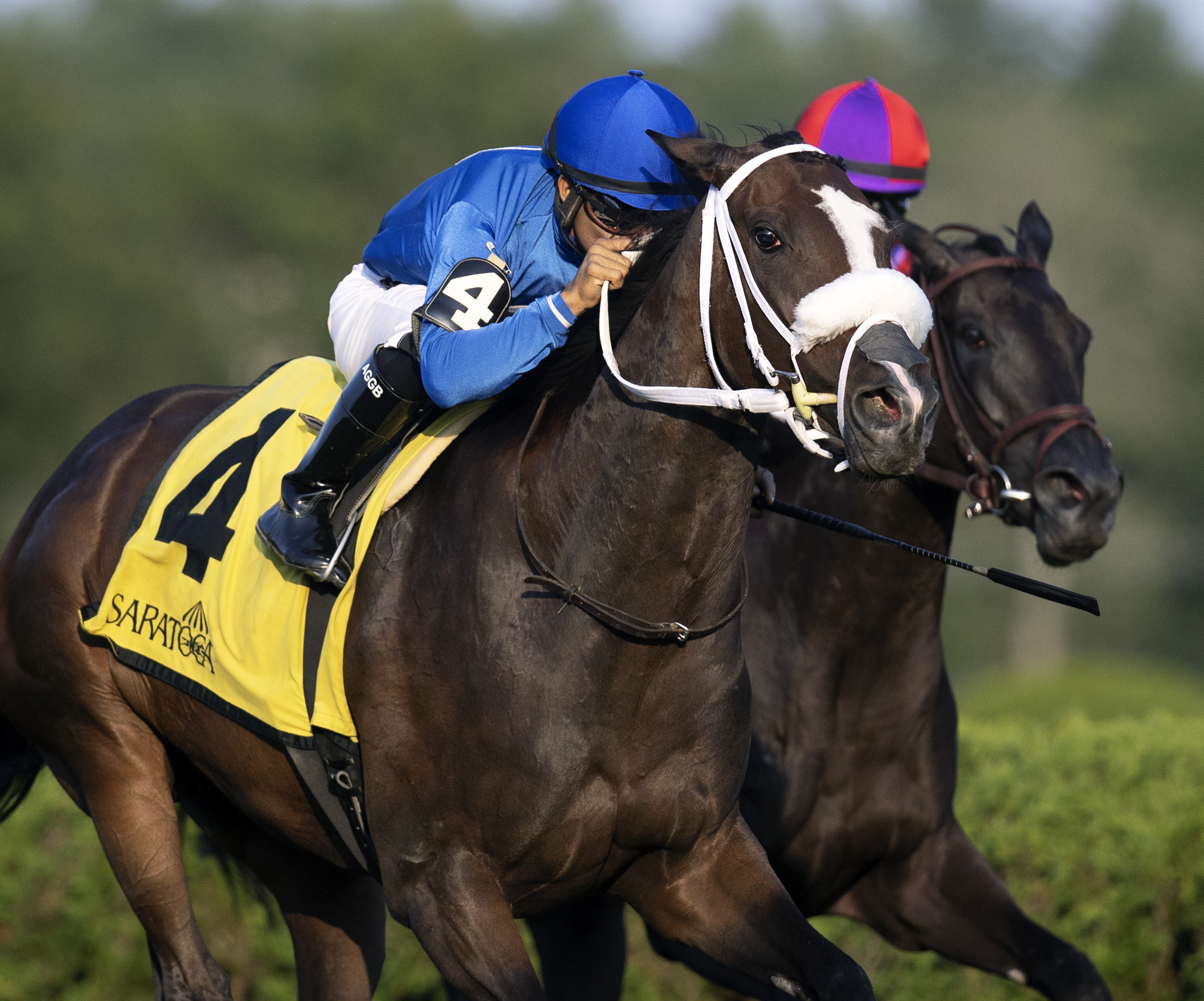 Giacosa/Yaddo Handicap