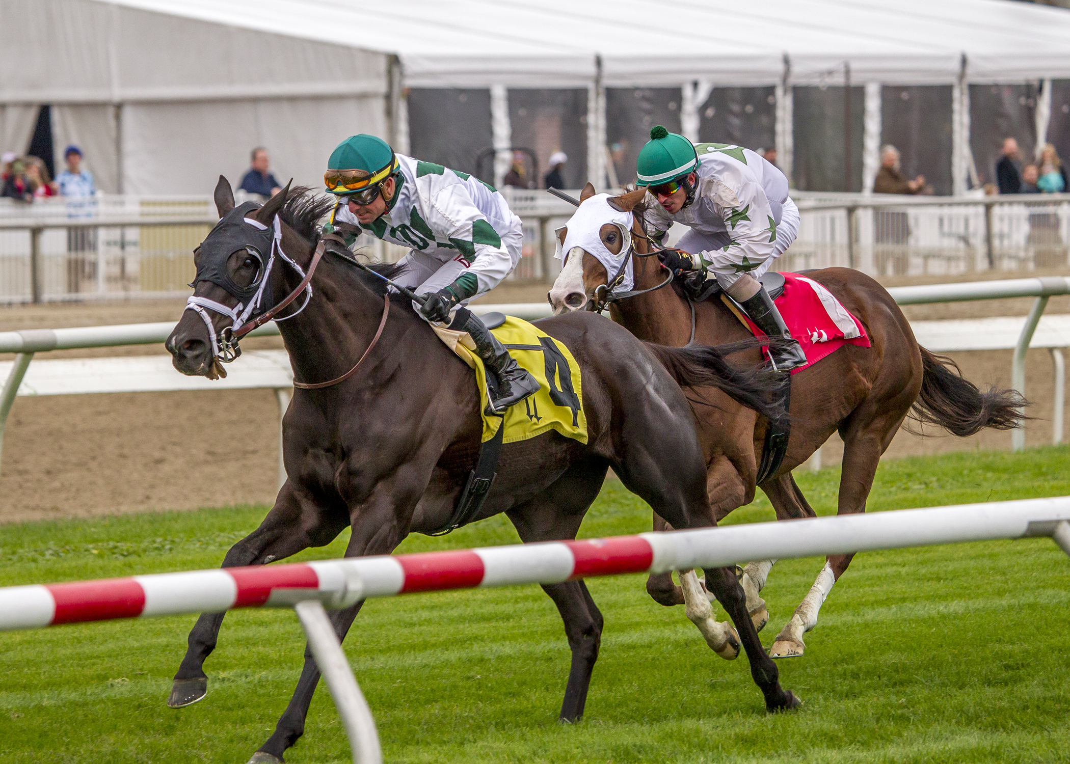Giada Vegas wins the 2017 Blushing K.D. Stakes