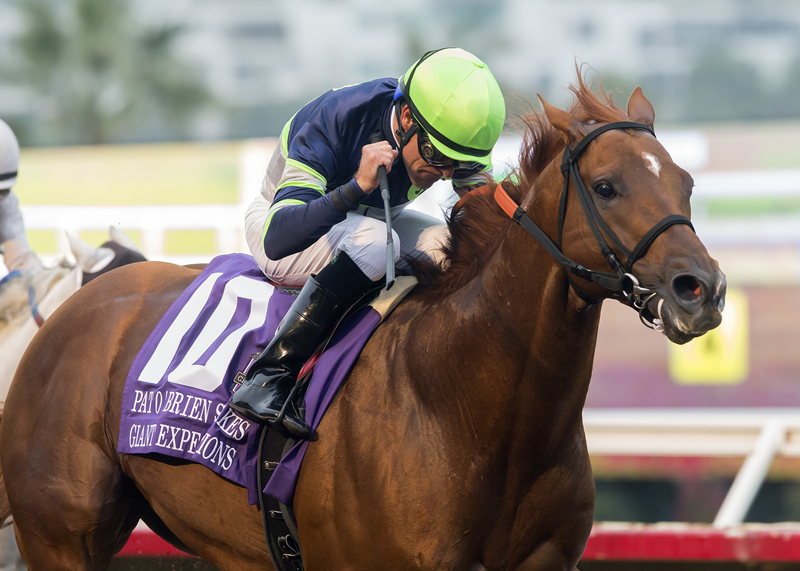 Giant Expectations wins the 2017 Pat O'Brien Stakes