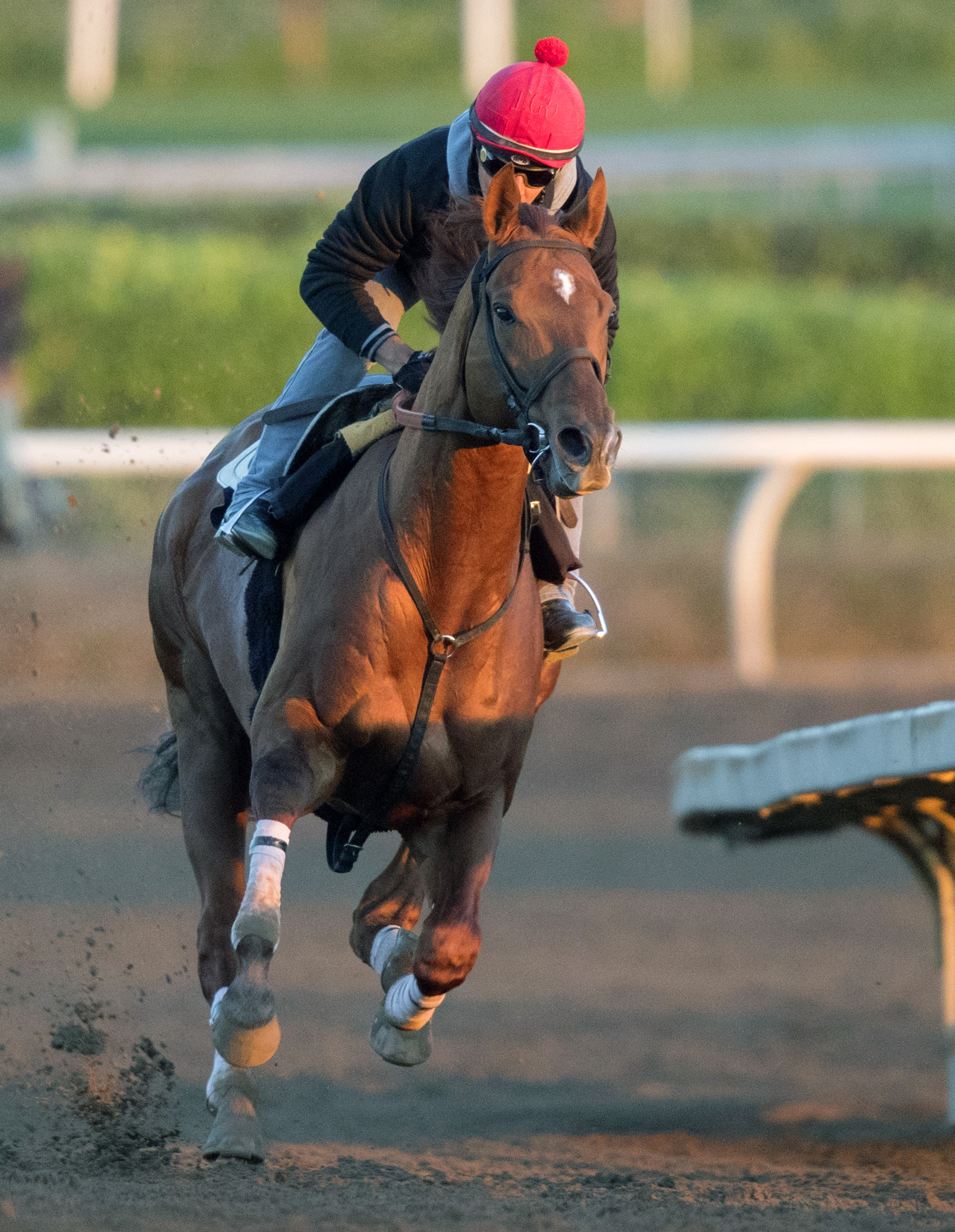 Giant Expecations trains at Santa Anita on Feb. 18