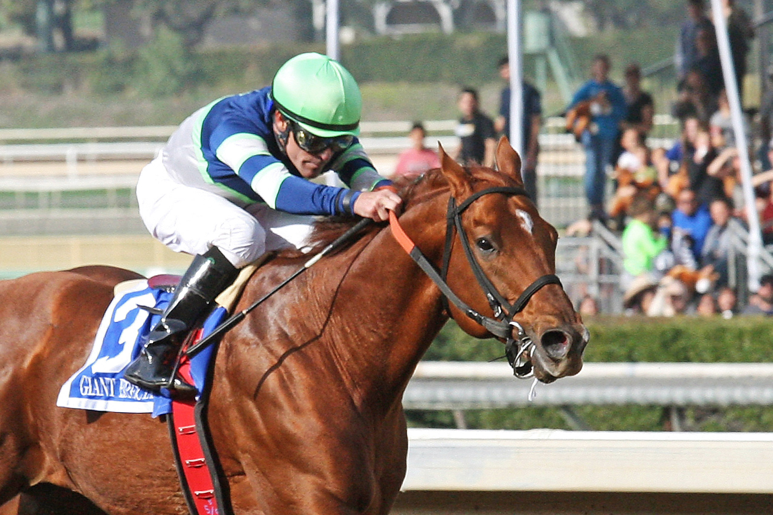 Giant Expectations wins the 2017 San Antonio Stakes