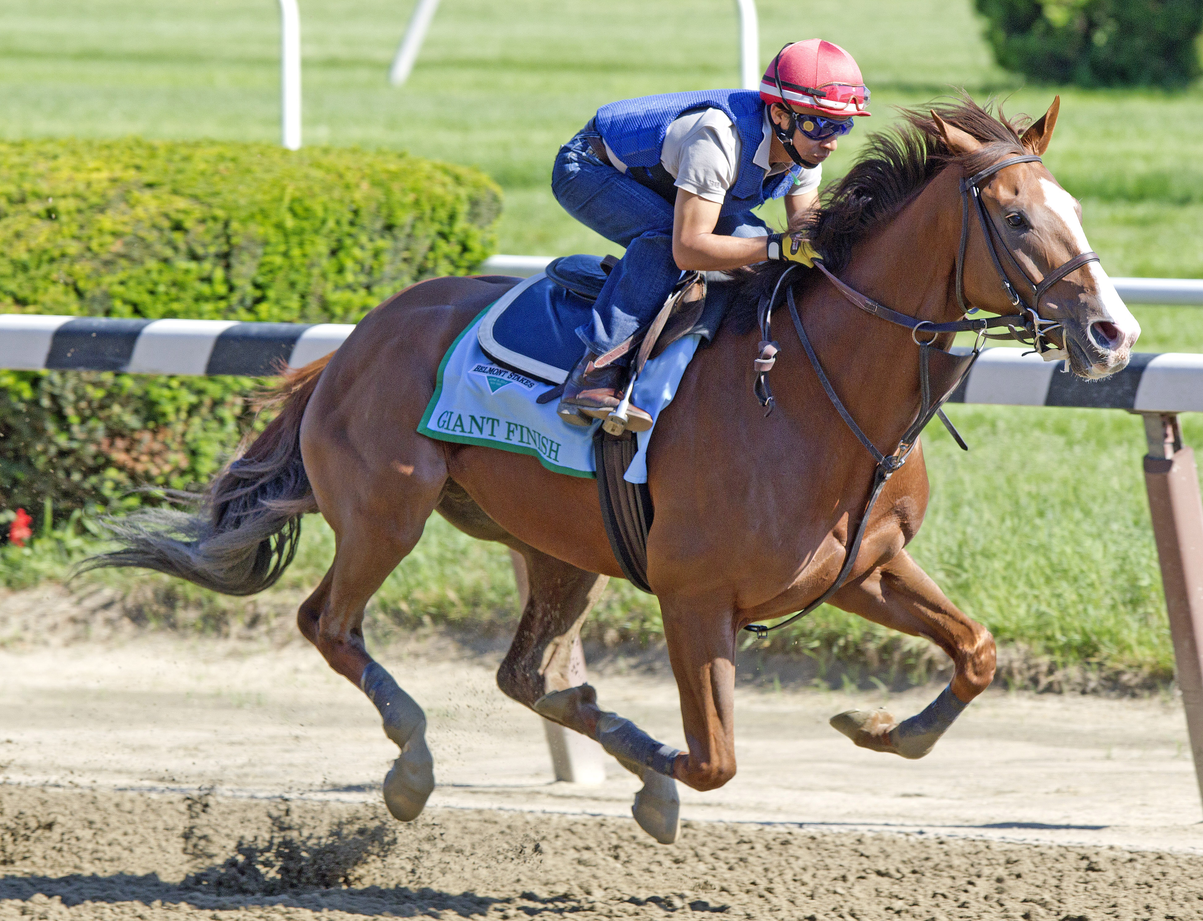 Belmont Stakes workouts: Giant Finish, Vyjack put in final works