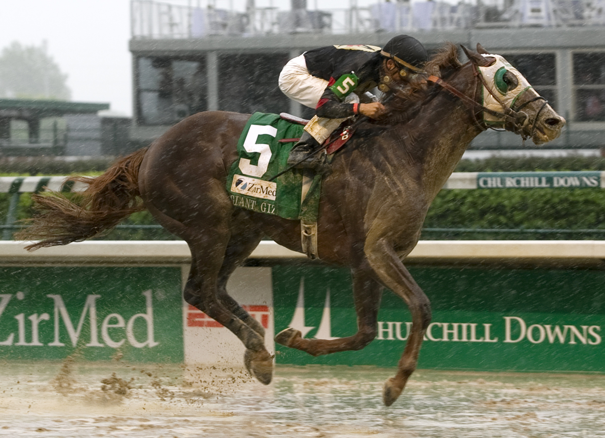 Giant Gizmo wins the 2008 Alysheba