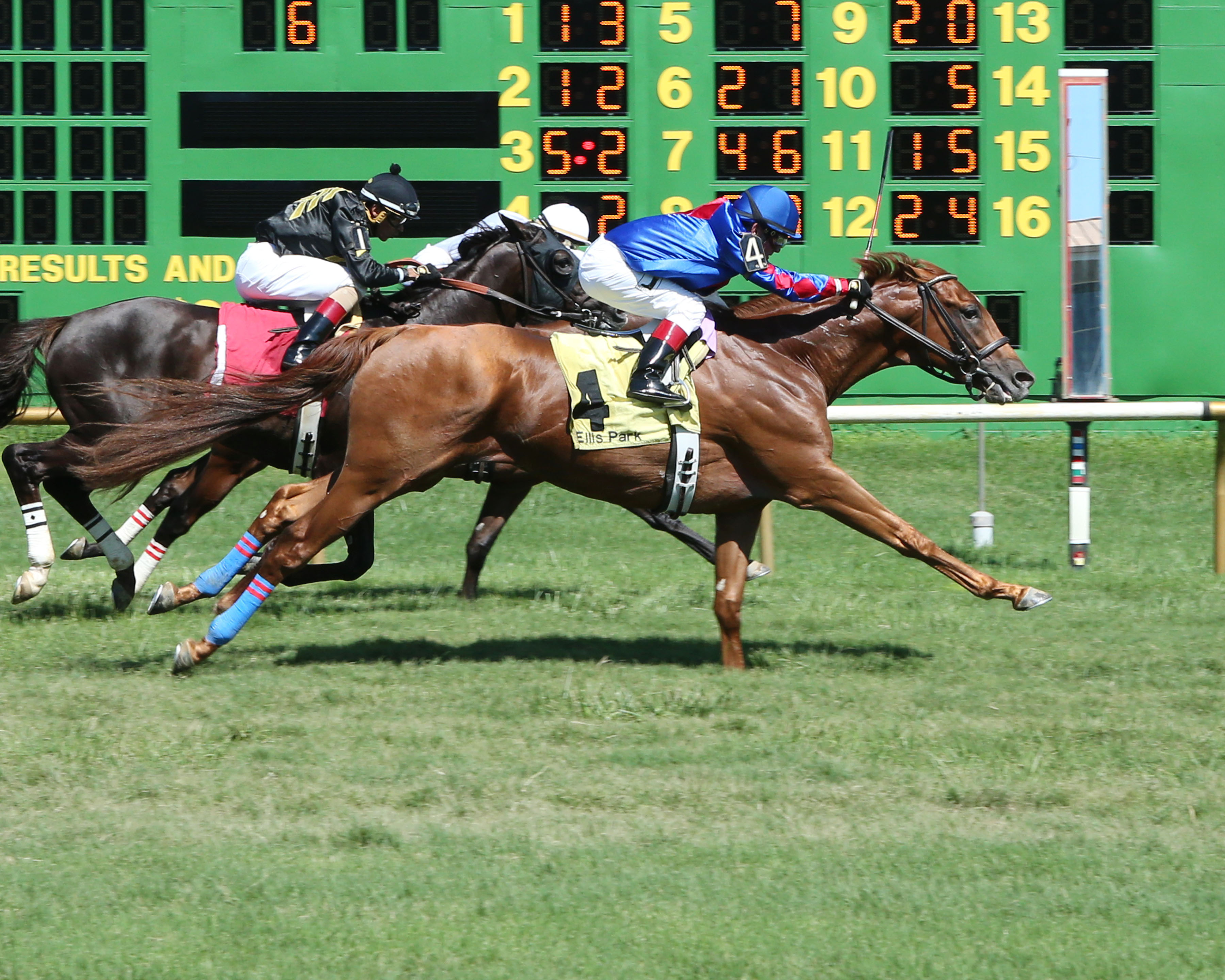 Giant Payday wins an Aug. 4, 2017 allowance race