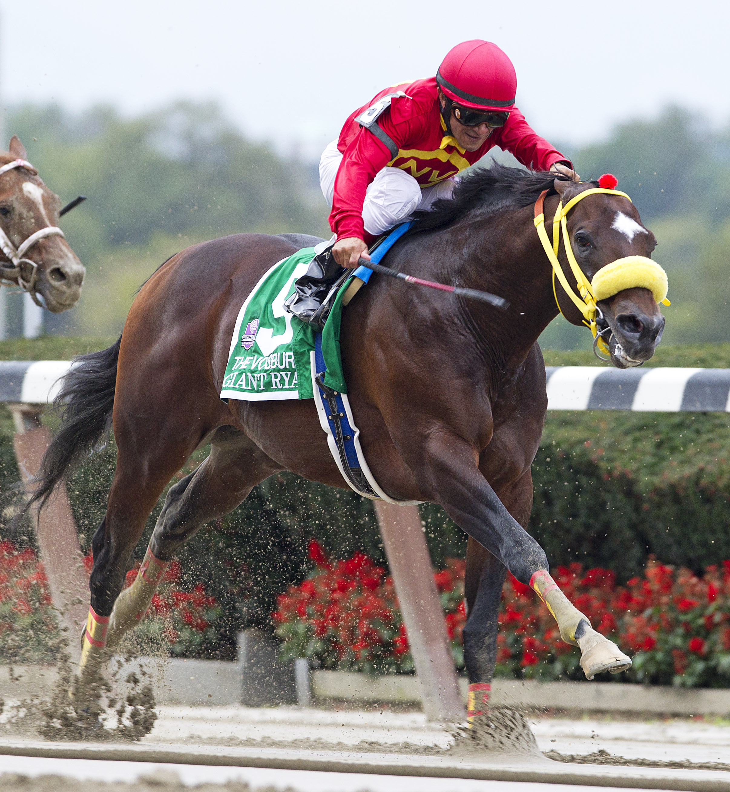 Giant Ryan/Vosburgh