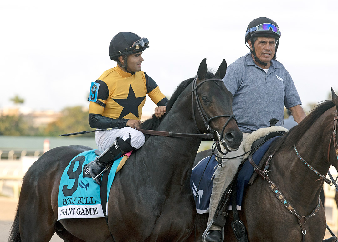 Giant Game at the 2022 Holy Bull Stakes at Gulfstream