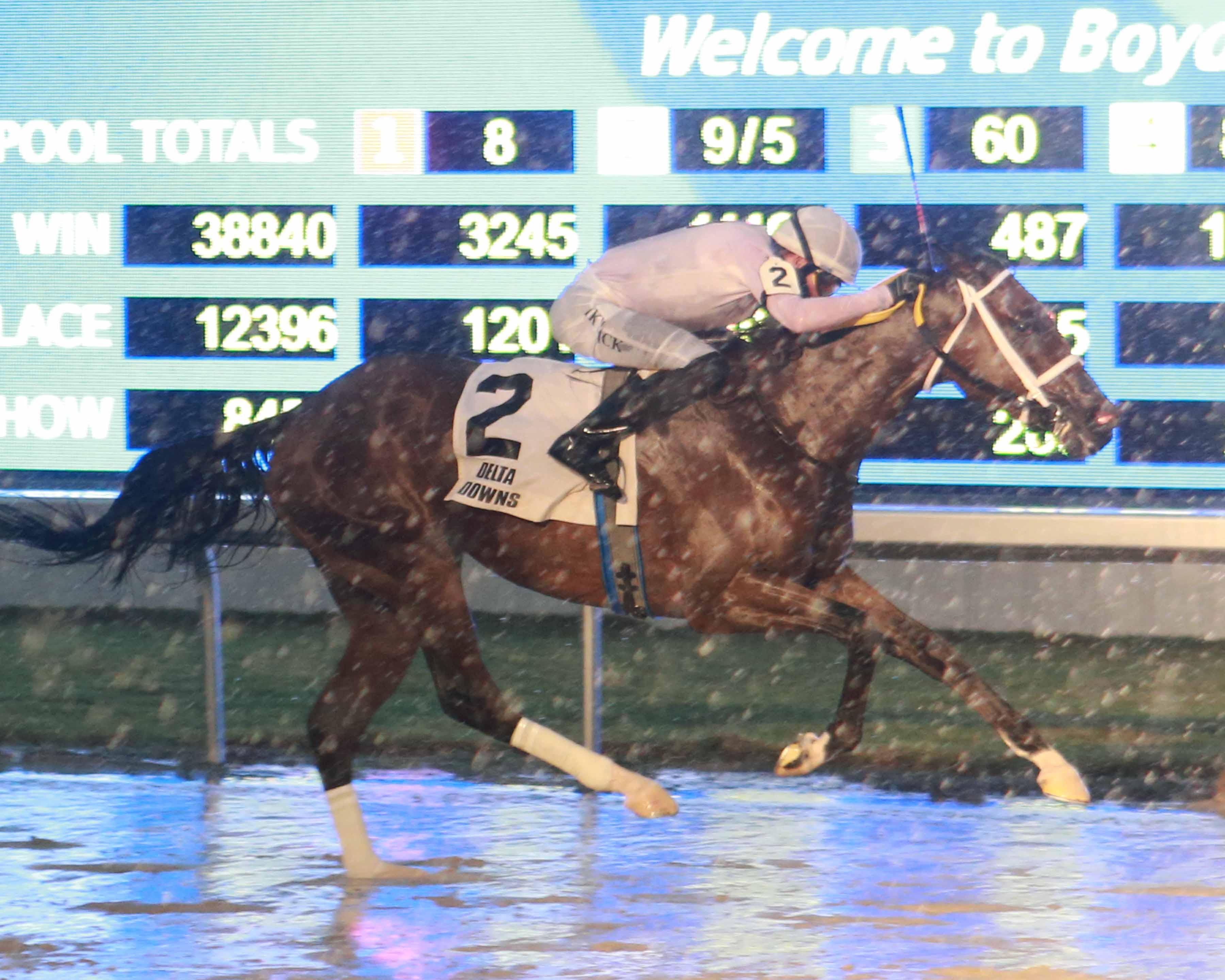 Gibberish wins the Treasure Chest at Delta Downs.11-27-2020