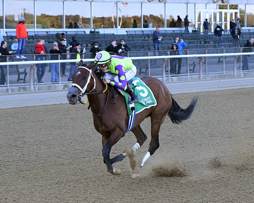 Gibberish wins the 2021 Turnback the Alarm Handicap at Belmont Park