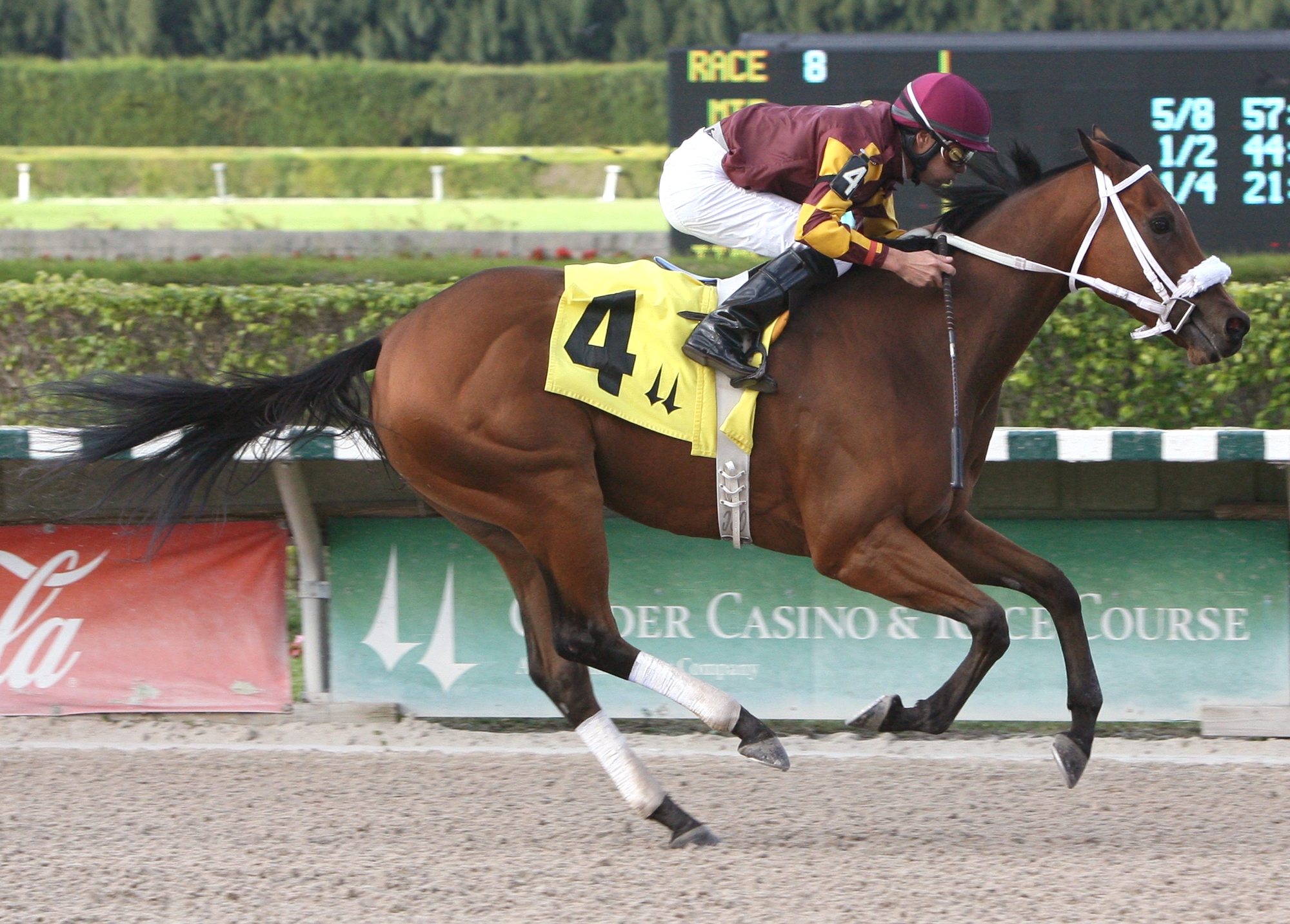 Gibson, Jack Dudley Stakes, 2011
