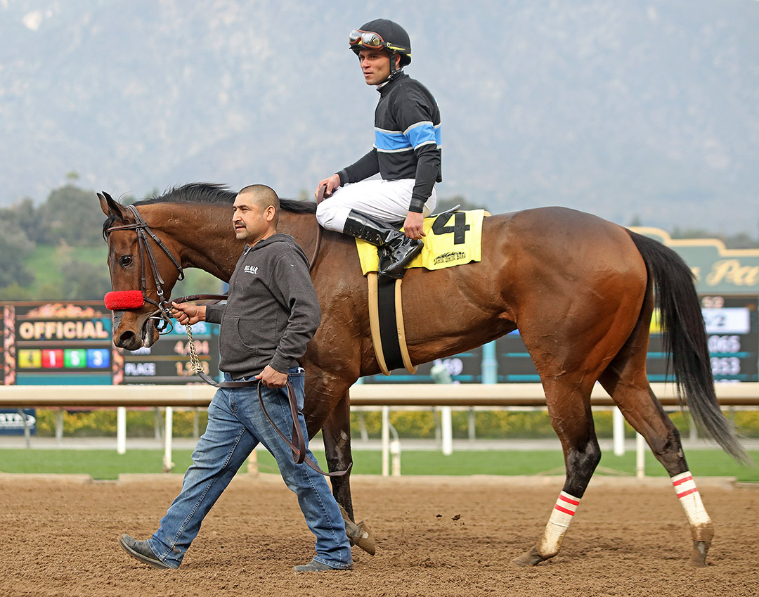 Gidgetta at a January 2020 maiden race at Santa Anita