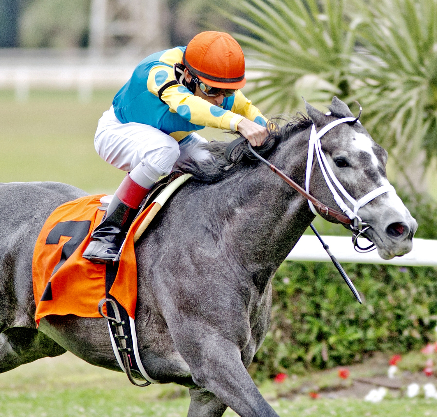 Gidu wins the Columbia Stakes