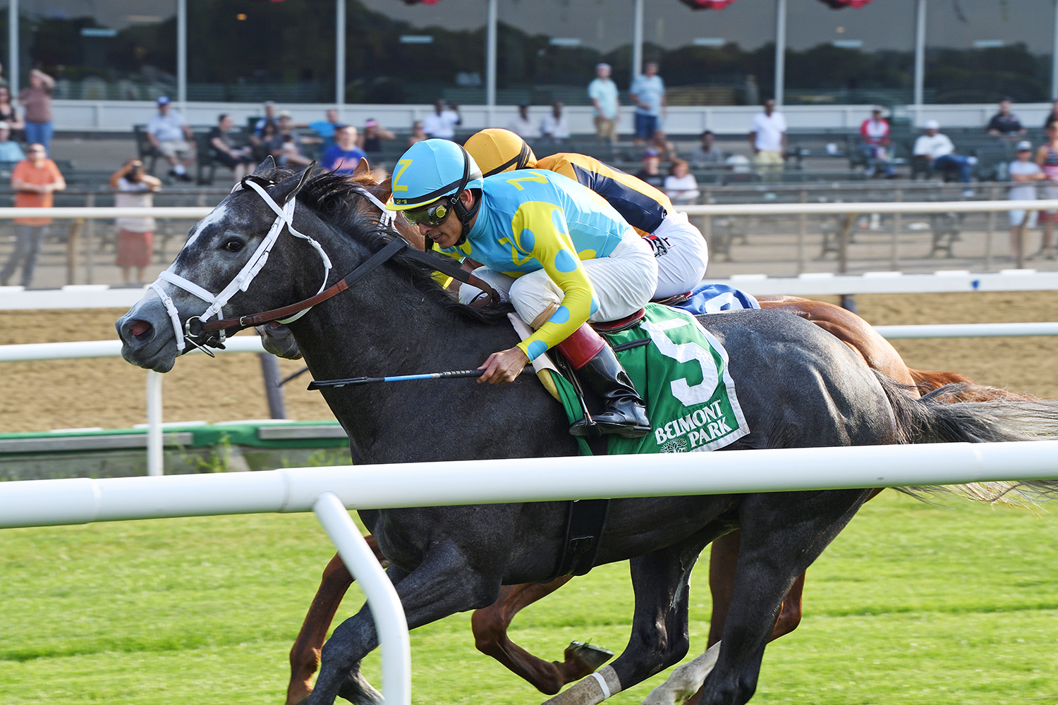 Gidu wins the 2018 Paradise Creek Stakes
