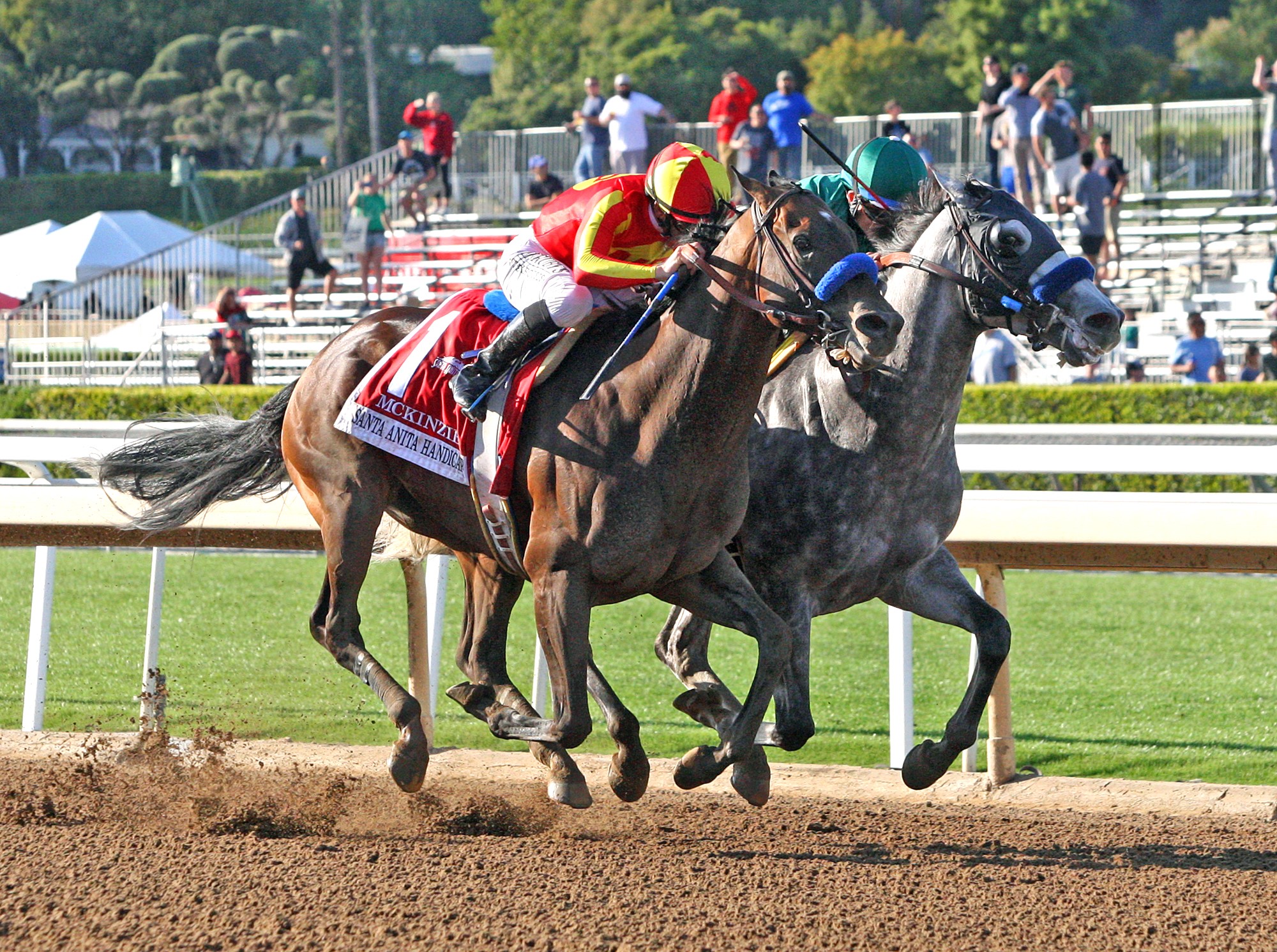 Gift Box/2019 Santa Anita Handicap