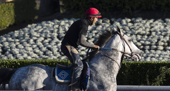 Gift Box at Santa Anita Park on Oct. 22