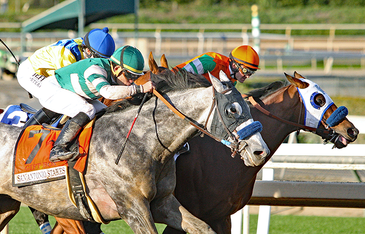 Gift Box wins the San Antonio Stakes