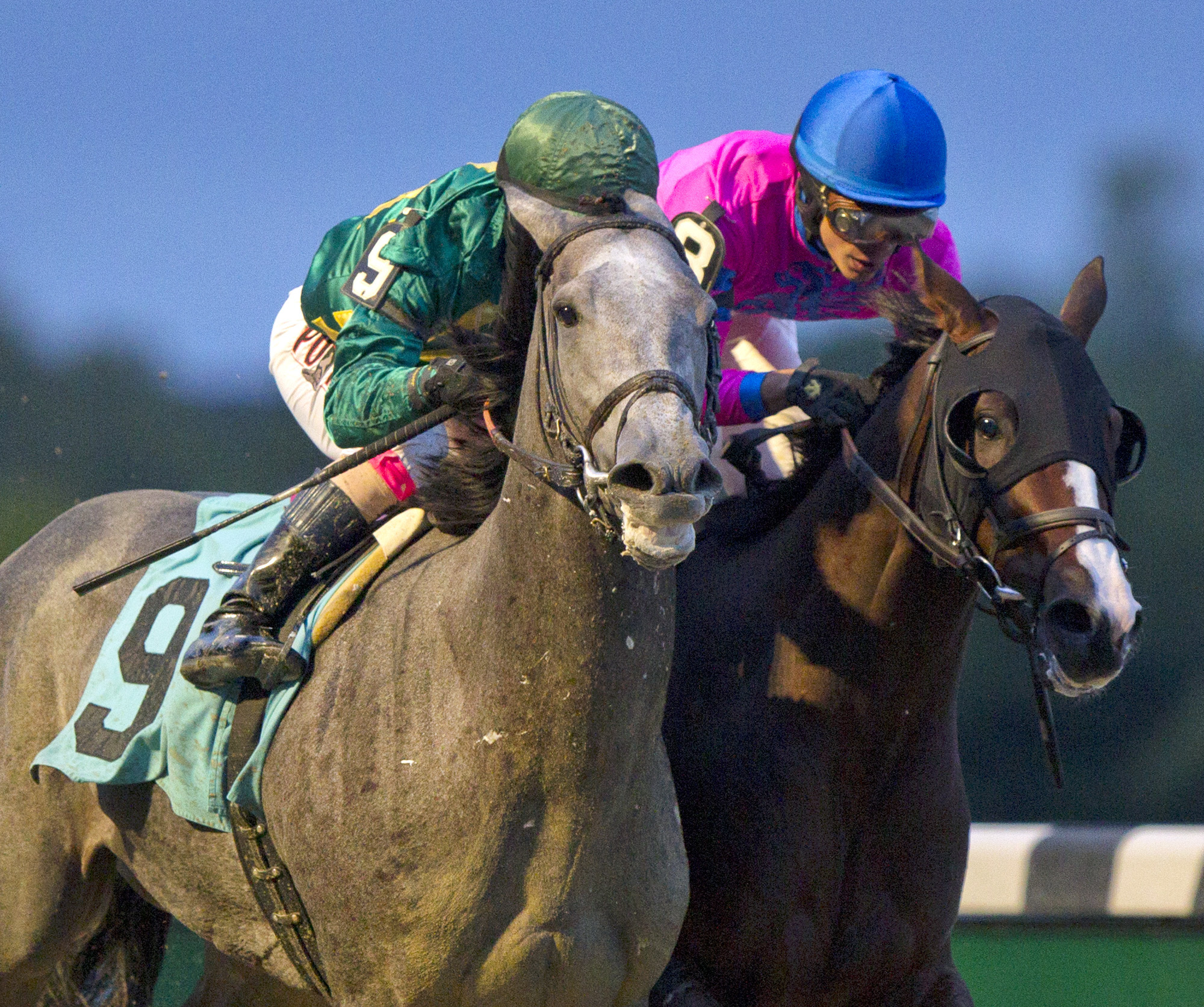 Gift Box beats Matt King Coal in a maiden race