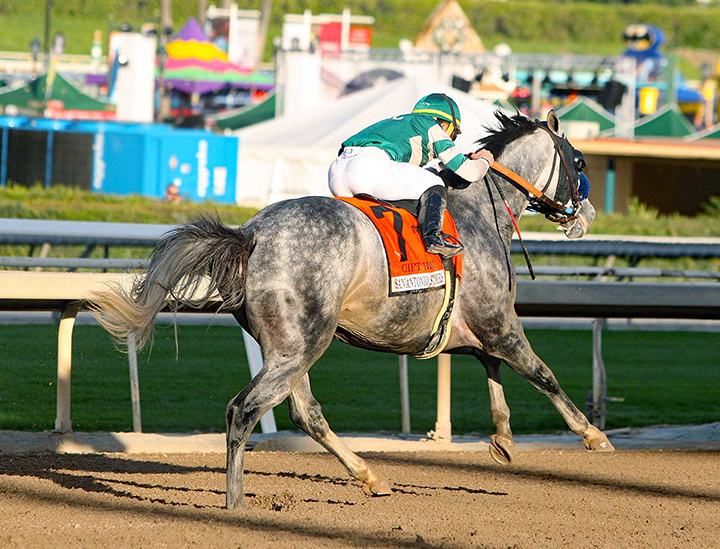 Gift Box wins the 2018 San Antonio Stakes