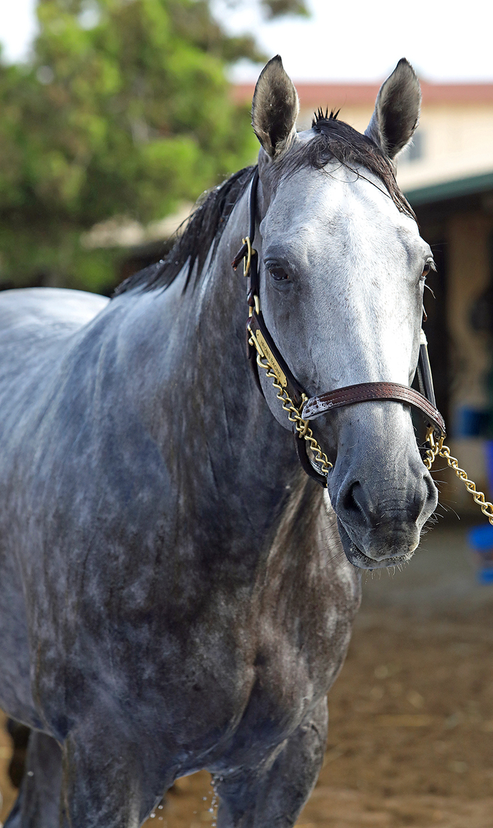 Gift Box at Del Mar on Sept. 2