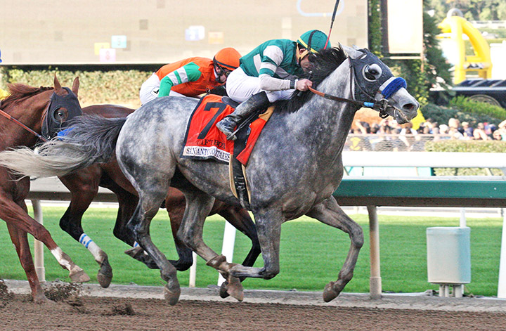 Gift Box wins the 2018 San Antonio Stakes