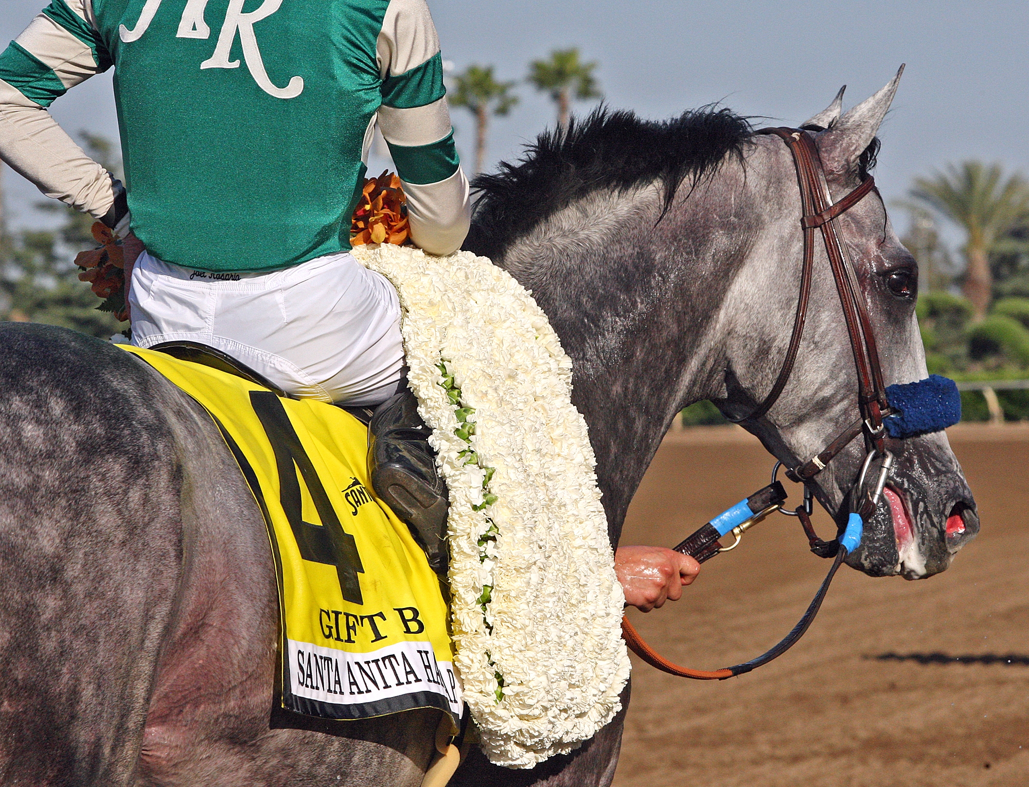 Gift Box following victory in the 2019 Santa Anita Handicap
