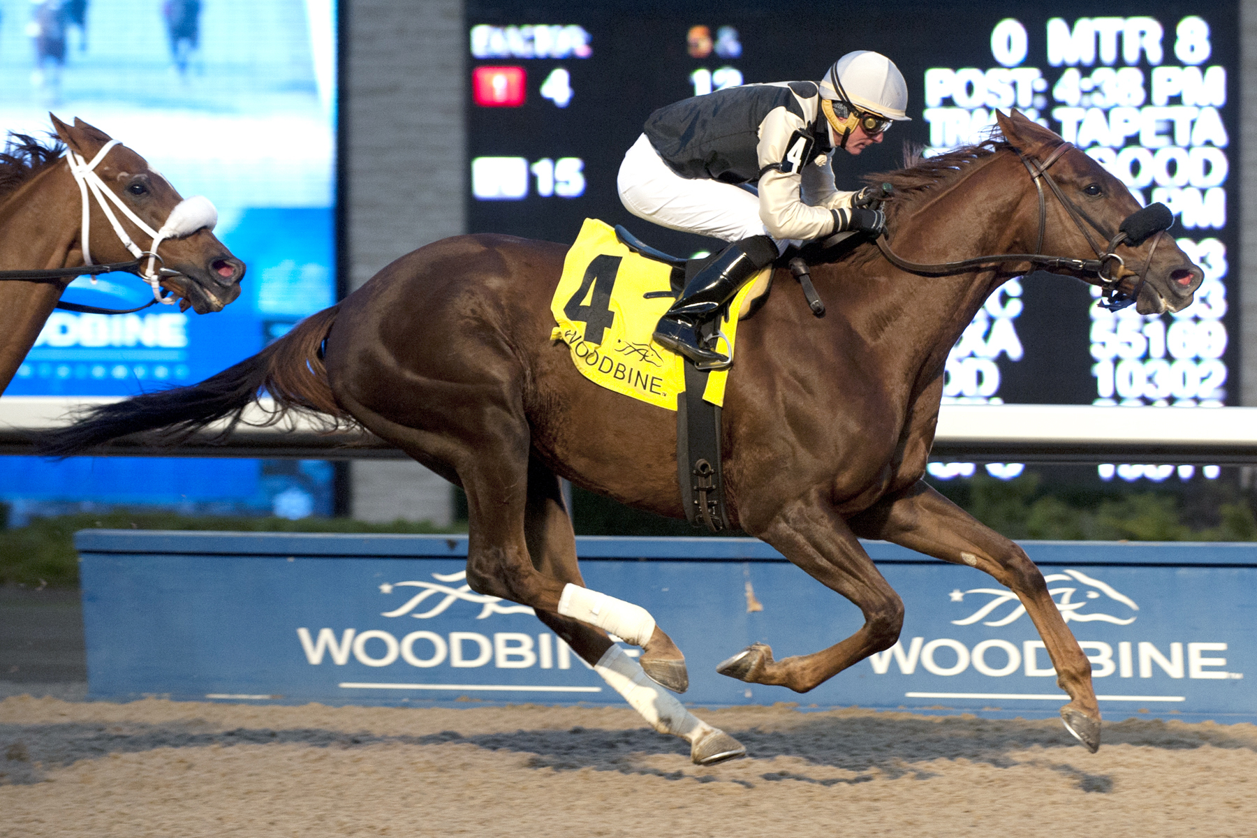 Gigantic Breeze wins the Autumn Stakes