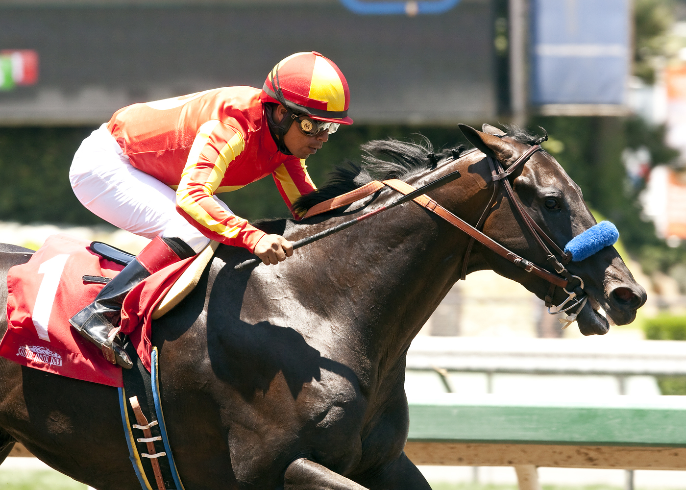 Gimme Da Lute wins 2015 Affirmed