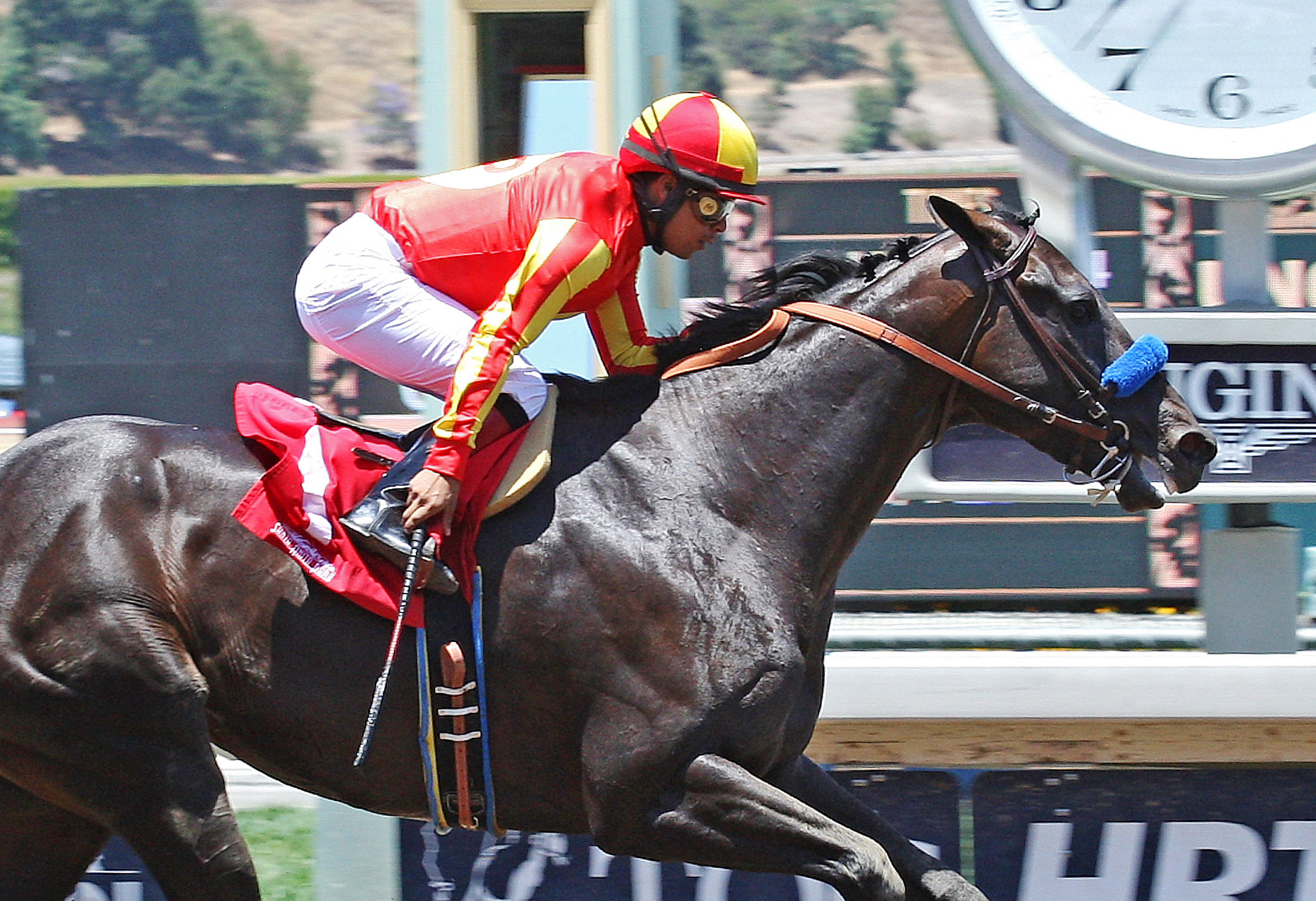 Gimme Da Lute wins the Affirmed