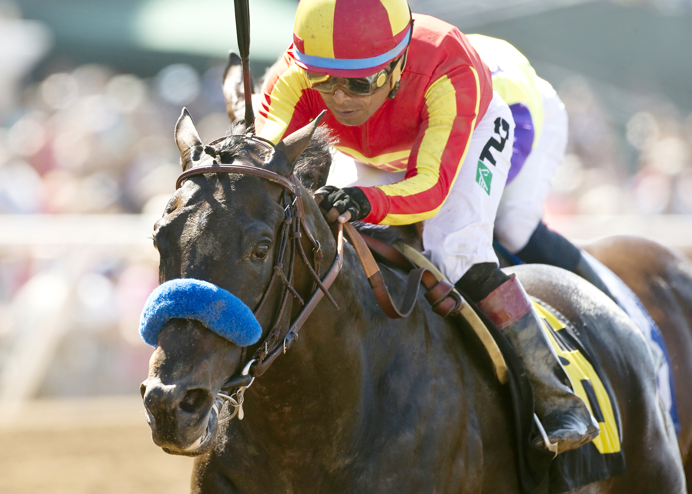 Gimme Da Lute wins the El Cajon