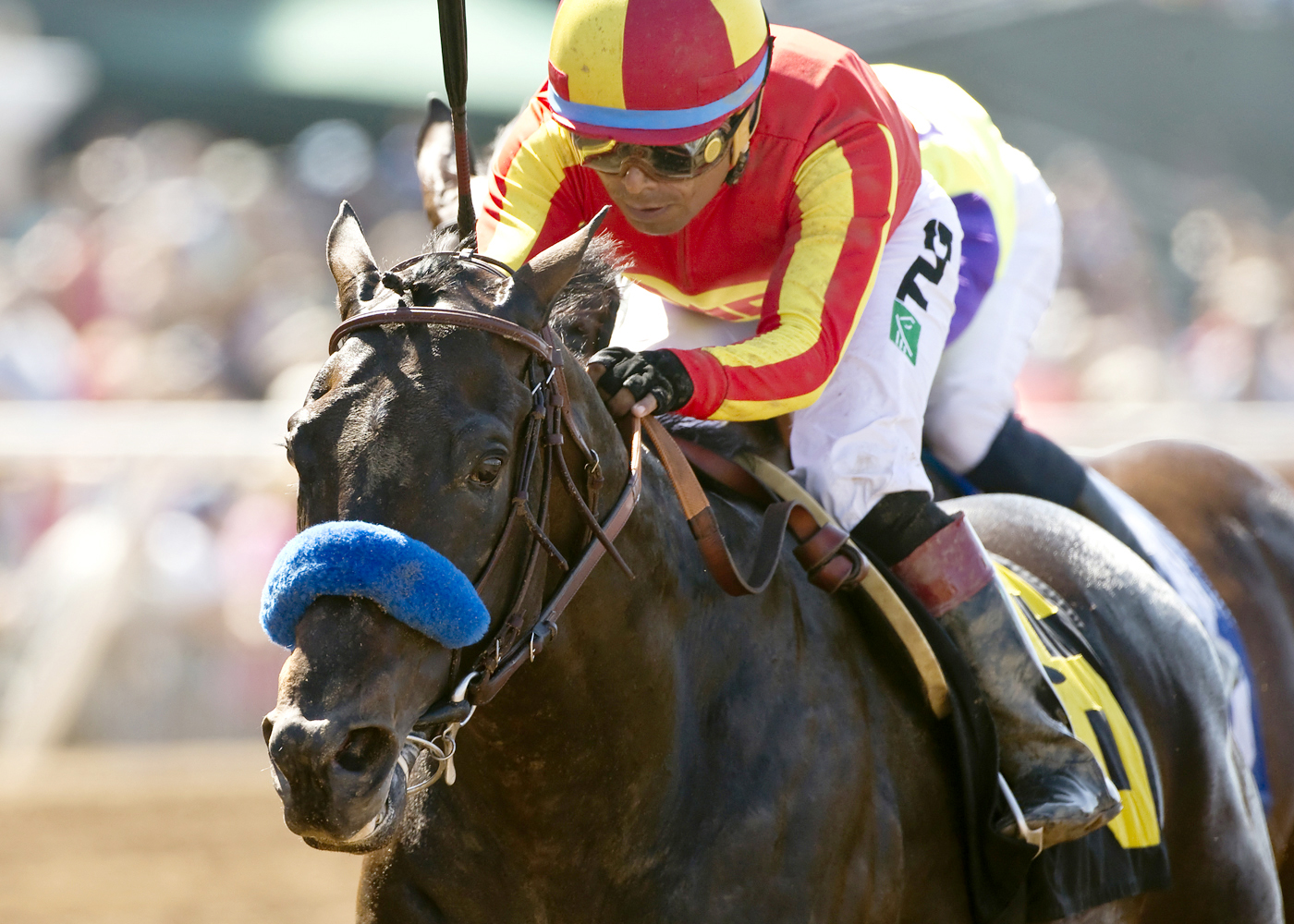 Gimme Da Lute wins the El Cajon