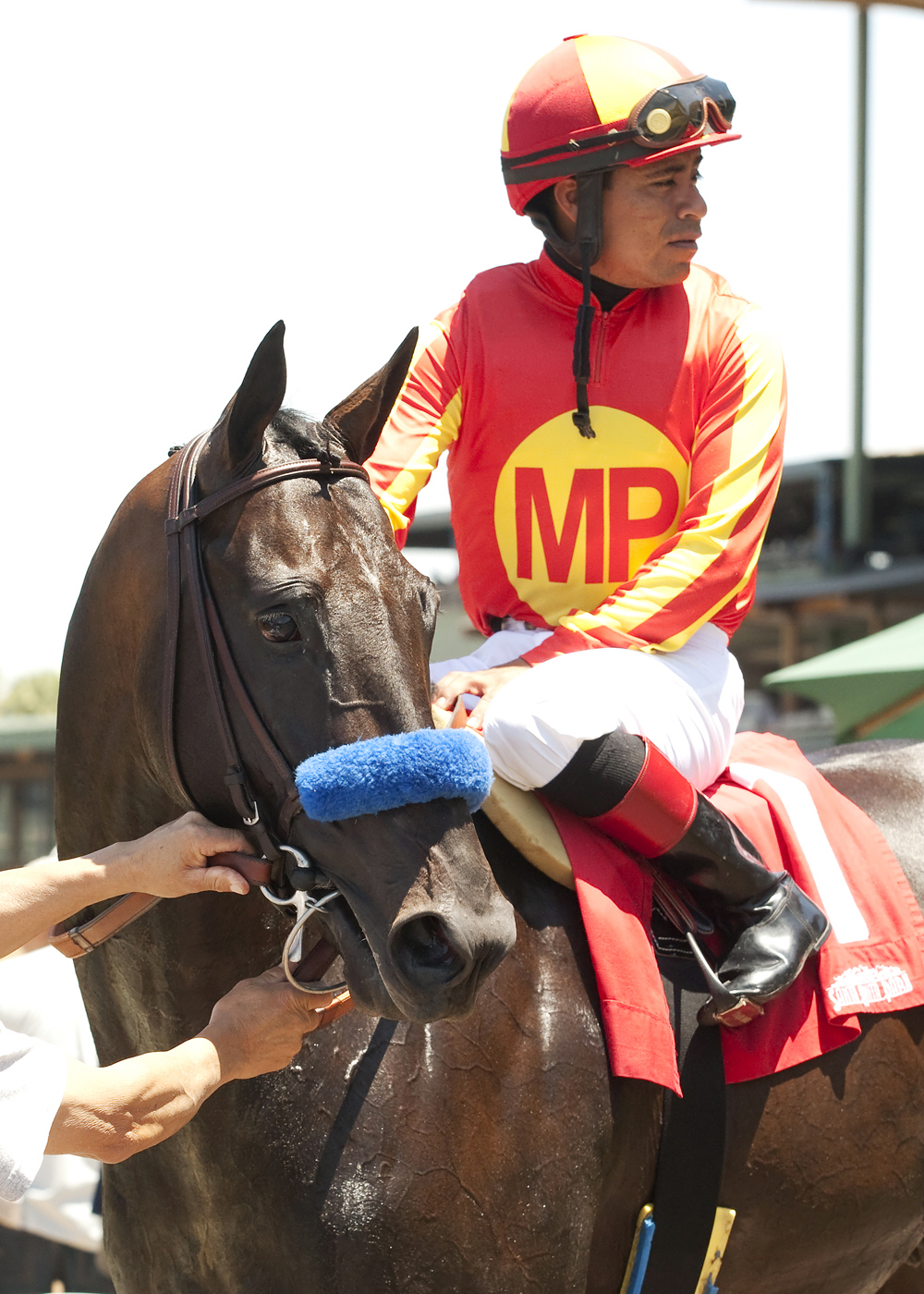Gimme Da Lute after the Affirmed Stakes
