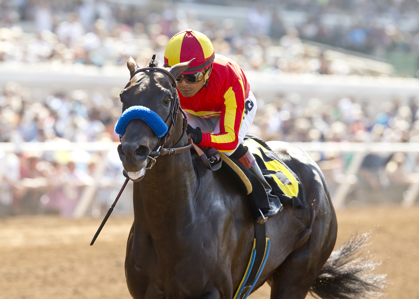 Gimme Da Lute wins the Real Good Deal