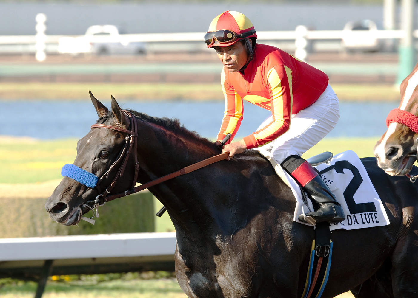 Gimme Da Lute wins the Los Alamitos Derby