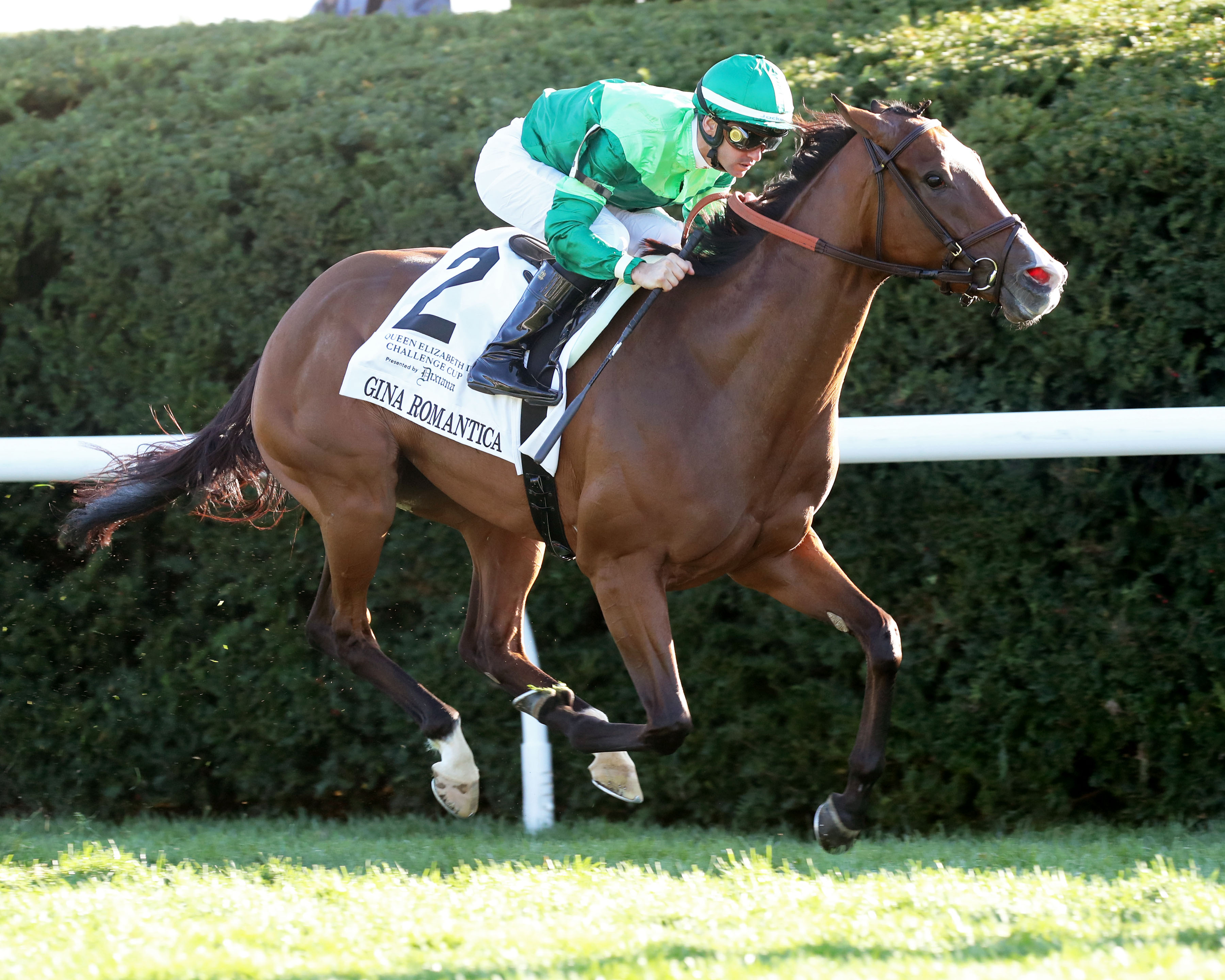 Gina Romantica - QE II Challenge Cup 2022