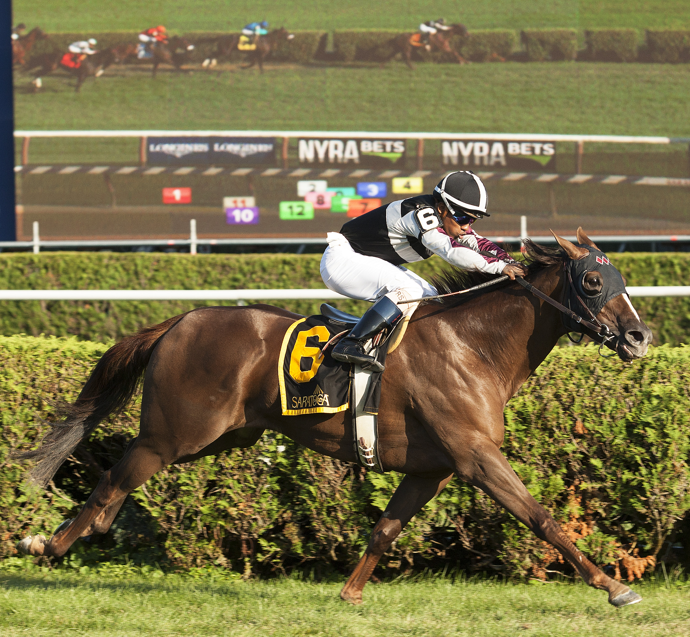 Ginger N Rye wins the Smart N Fancy Stakes at Saratoga 8.27.17