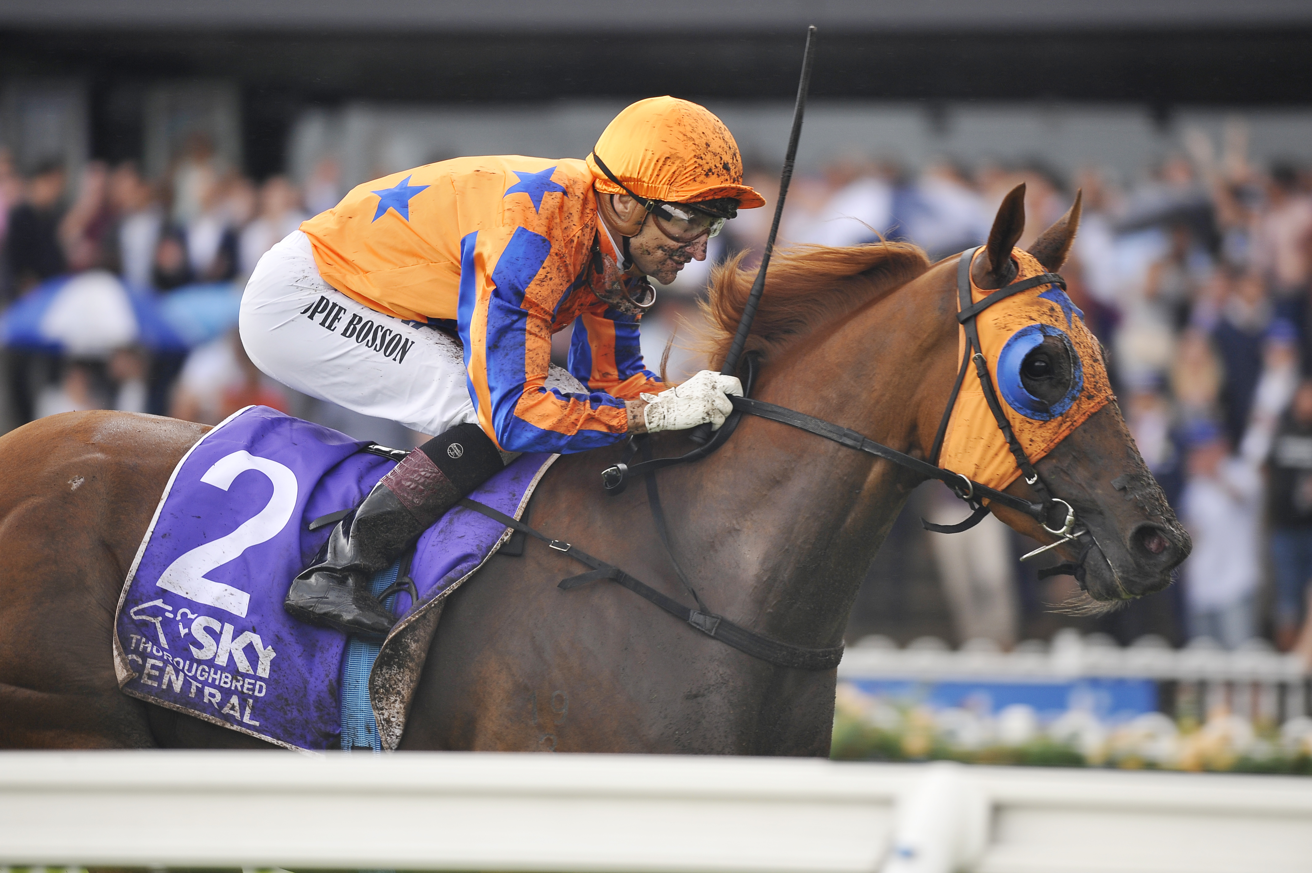 Gingernuts wins the Group 1 Rosehill Guineas