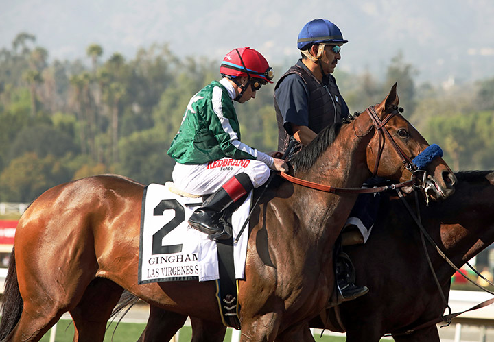 Gingham at the Las Virgenes Stakes at Santa Anita Park