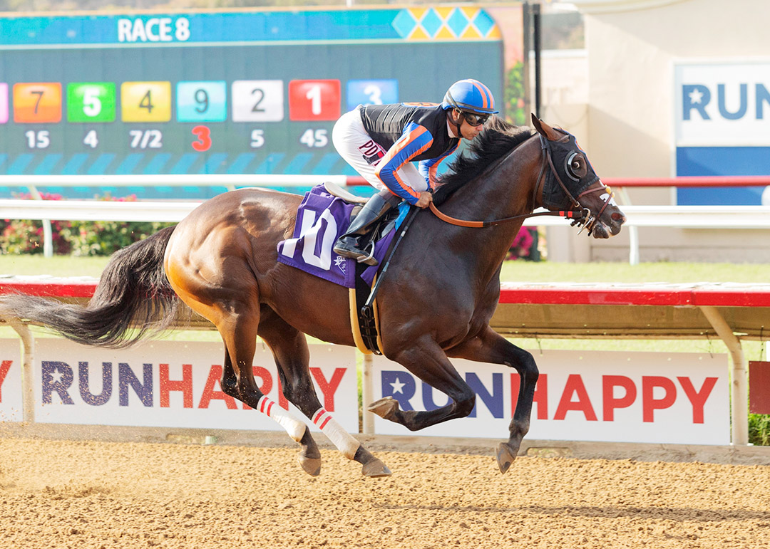 Ginobili wins a July 17 allowance race at Del Mar