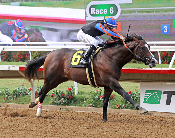 Ginobili wins an Aug. 17 maiden race at Del Mar