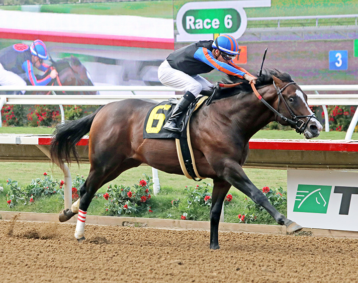 Ginobili wins an Aug. 17 maiden race at Del Mar