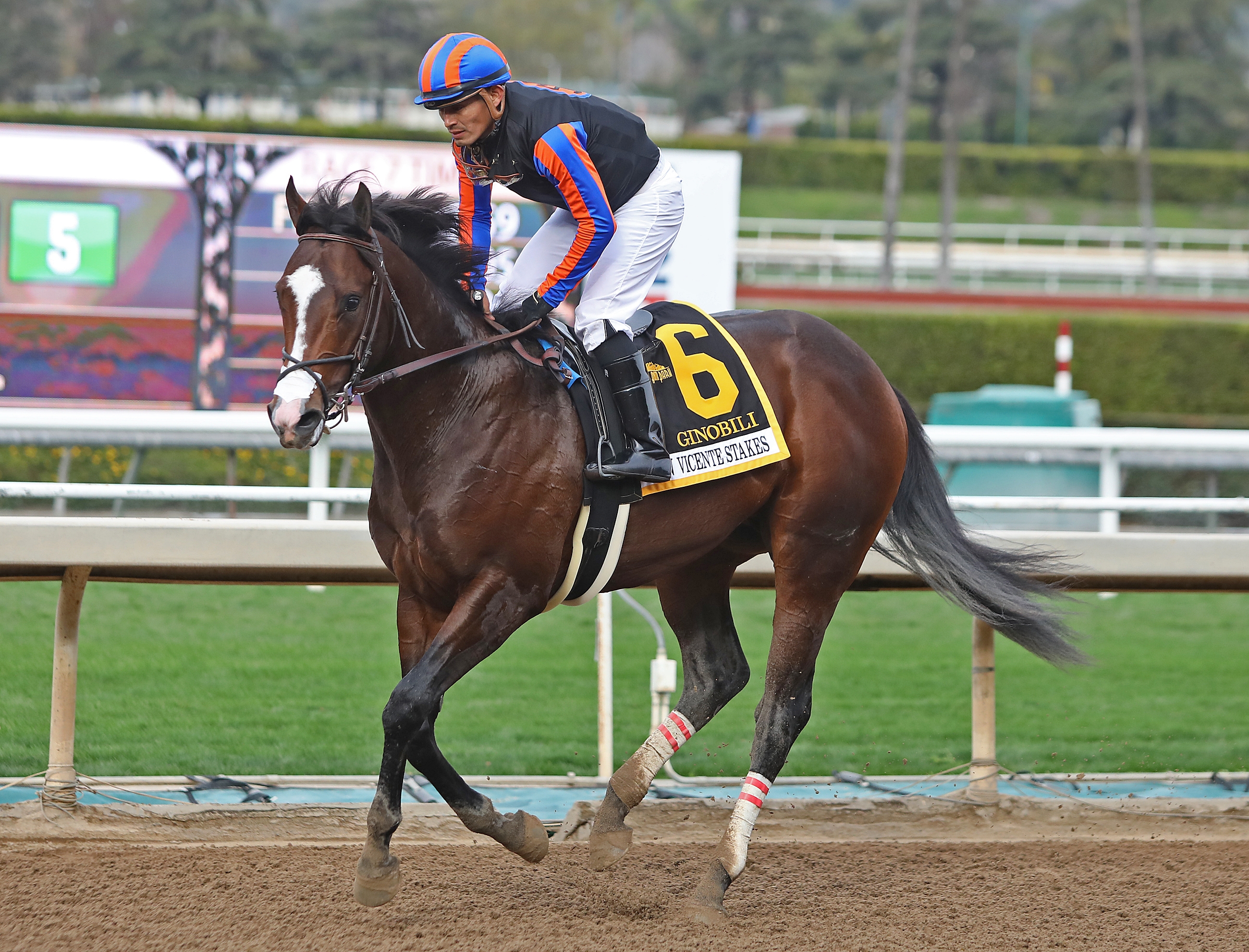 Ginobili following runner-up finish in 2020 San Vicente Stakes