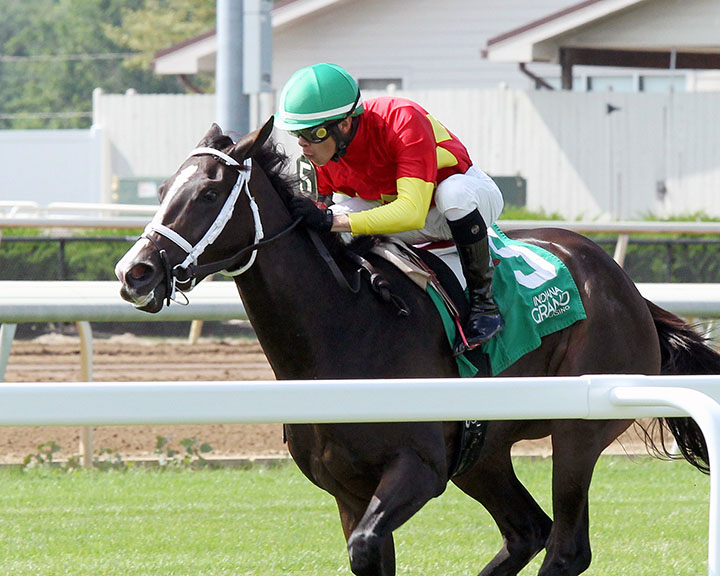 Ginseng wins an Aug. 6 maiden race at Indiana Grand