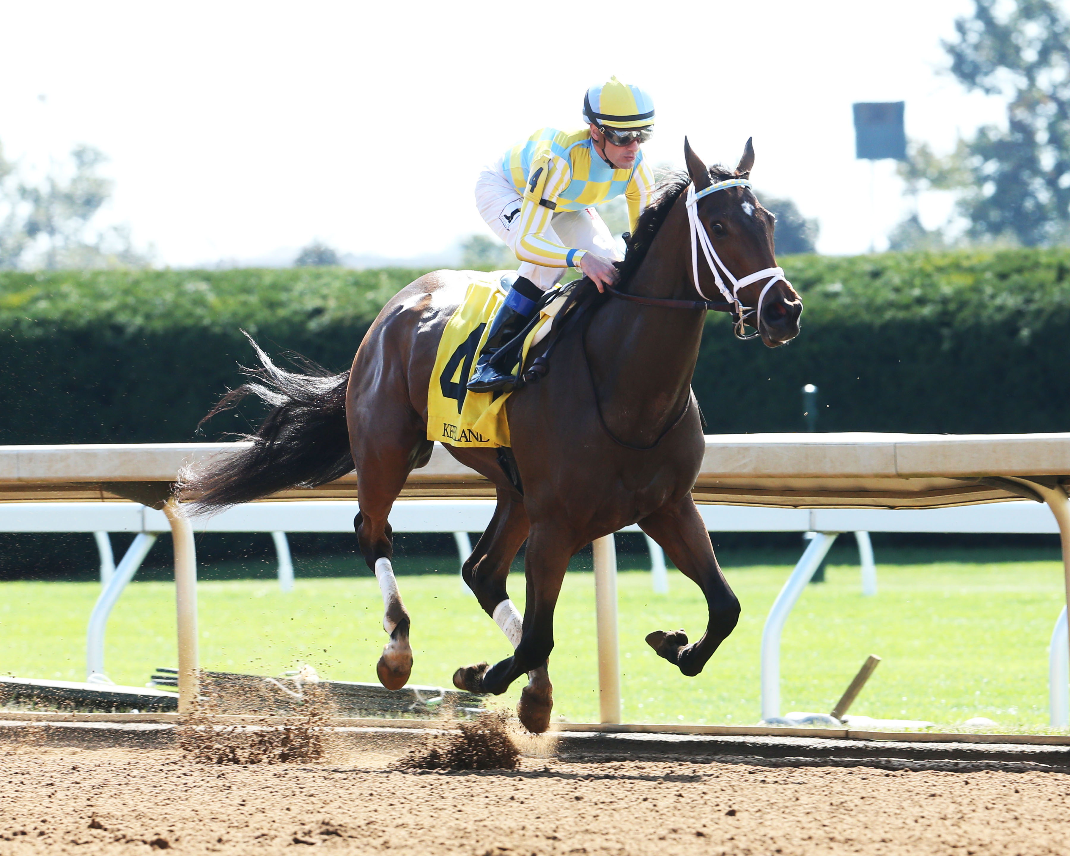 Gio Game wins an Oct. 6 maiden race