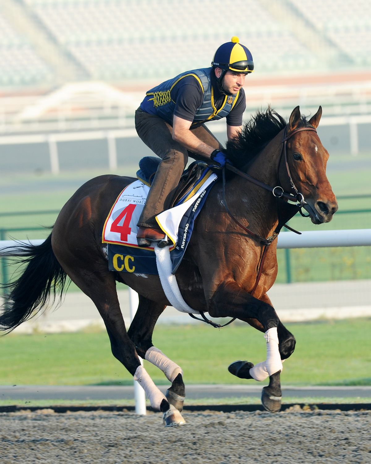 Gio Ponti/Meydan