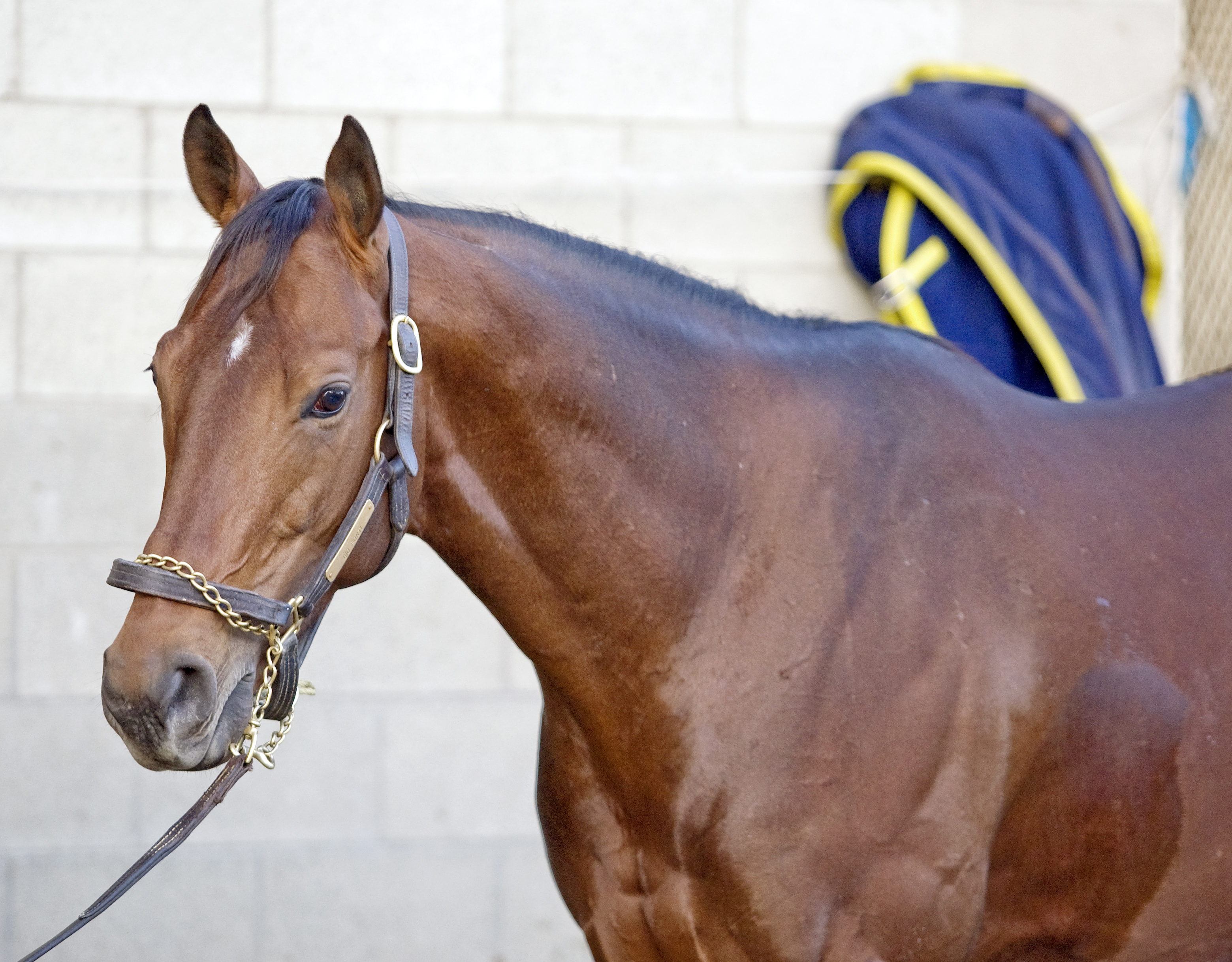 Gio Ponti
