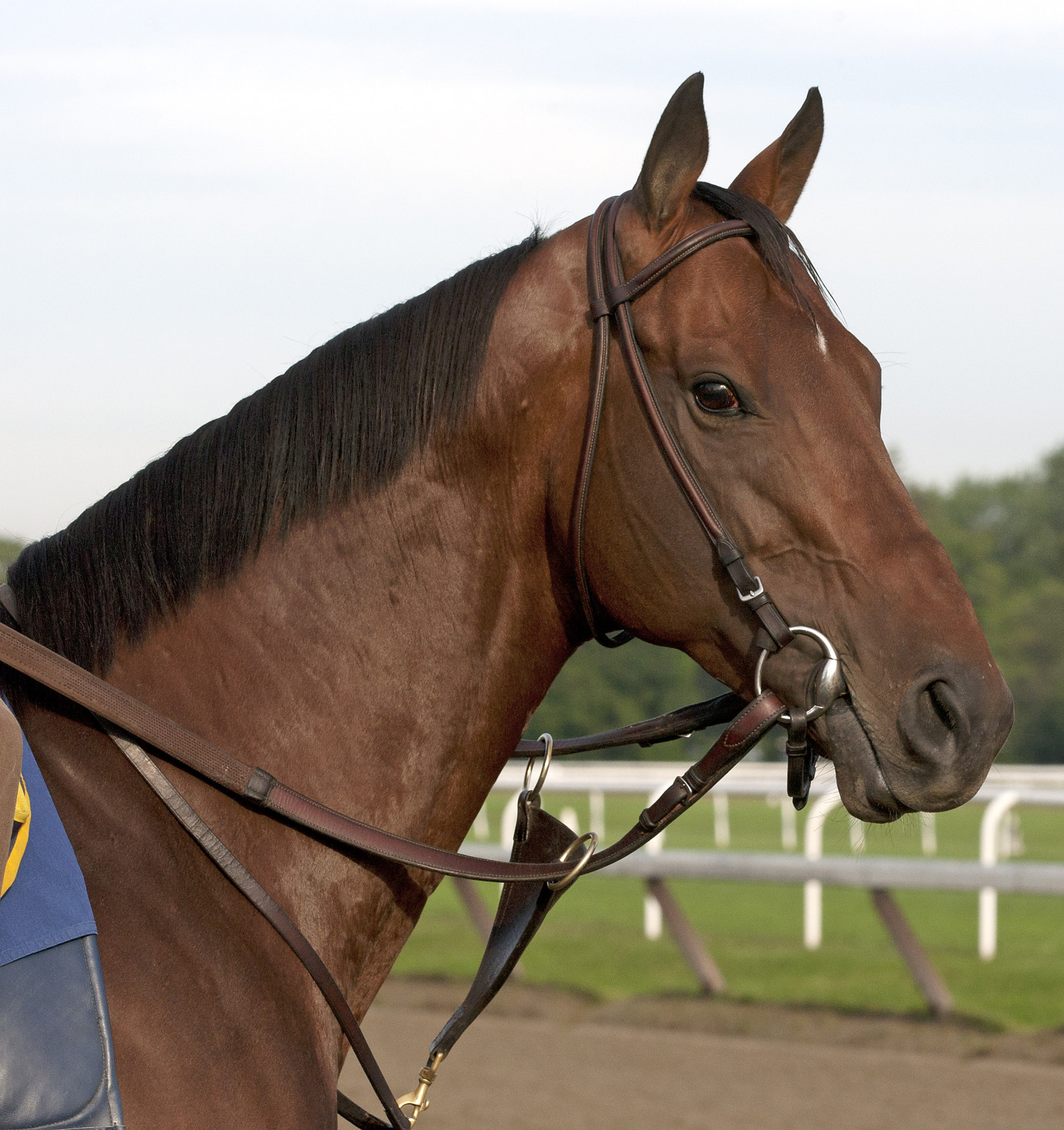 Gio Ponti
